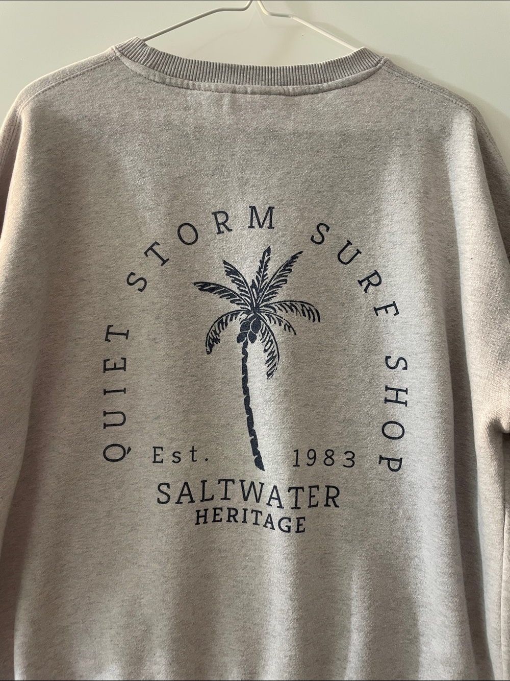Storm Men's Crewneck Sweater in Light Taupe
